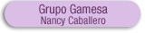 Nancy Caballero, Grupo Gamesa